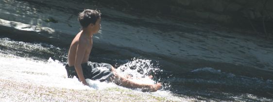 What our clients say...